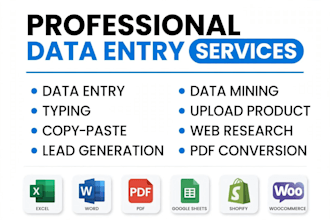 do excel data entry, pdf to excel, data typing