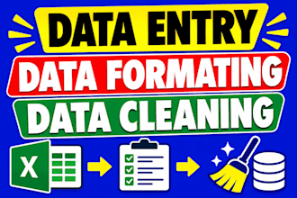 do data entry, data cleaning and formatting in excel