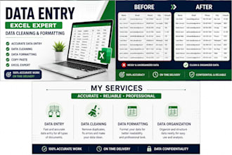 do data entry, data cleaning and formatting in excel