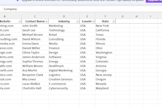 professional excel data entry and web research