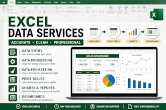 clean, format and organize your excel data professionally