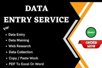 do professional data entry and copy paste work