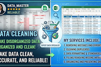 do data cleaning and data entry