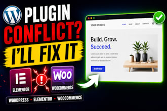 wordpress plugin conflicts and website issues