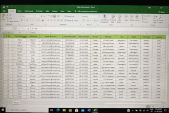 do data entry, copypaste data collection pdf to excel
