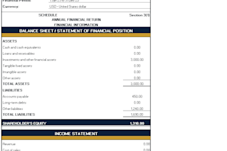 prepare bvi annual financial return