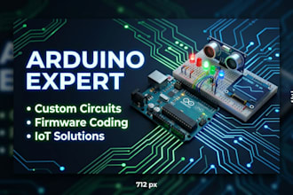 do professional programming and wiring layout for arduino