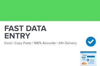 do fast data entry and excel copy paste work
