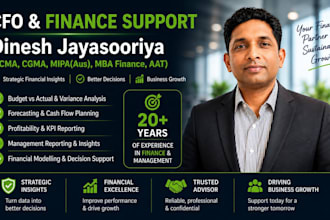 provide fractional cfo services accounting and bookkeeping