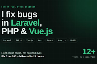 fix bugs and errors in your laravel php or vue js website