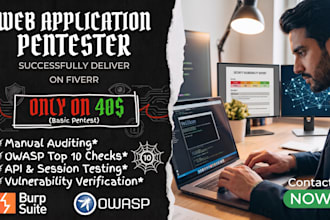 perform web application penetration testing