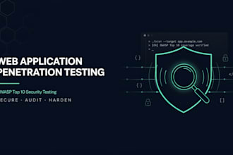do web application penetration testing