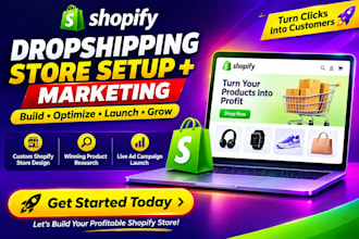 build a profitable shopify dropshipping store