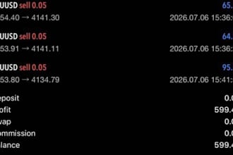 forex gold ea forex trading ea bot xauusd robot forex scalping robot gold ea bot