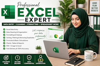 professional excel data entry, and spreadsheet work
