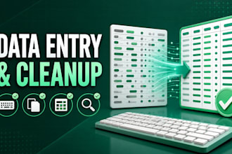 do accurate data entry spreadsheet cleanup and web research