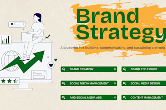 create a brand strategy and professional style guide