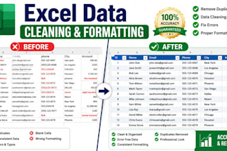 clean and format your excel data