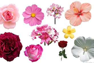 create 10 aesthetic floral stickers for digital use