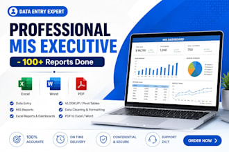 do professional mis reports,advance excel
