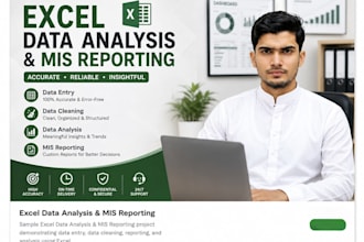 do excel data entry, data cleaning and mis reporting