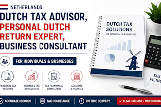 be dutch tax advisor, personal dutch return expert, business consultant