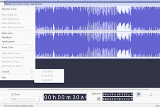 sell high quality music files available on tidal and qobuz