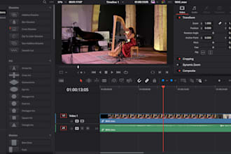 professionally edit music videos, trailers, and competition submission videos
