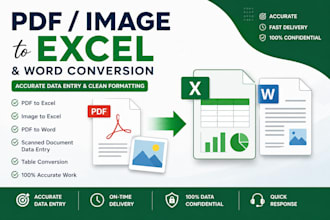 convert PDF or image to excel or word with accurate data entry