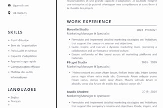 design professional CV resume