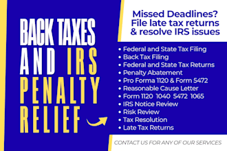 prepare and file back taxes, late tax returns and resolve irs tax issues