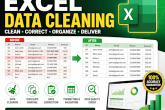 clean, validate and improve your excel data quality