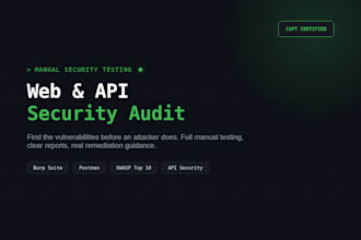 perform a manual security audit of your web app or API