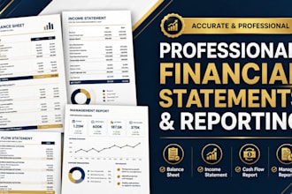 write germany cpa comfort letter, german income verification financial audit