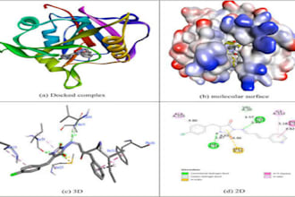 perform molecular docking and protein ligand interaction analysis