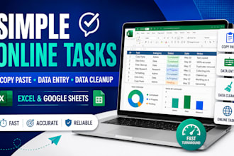 do simple online tasks, copy paste and data cleanup