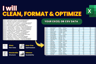 do data cleaning, formatting, entry and excel data optimization