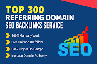 build 300 referring domain SEO backlinks on high da pa