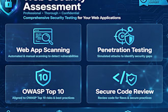 perform an authorized web security vulnerability assessment