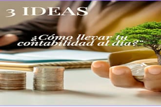 en gestionar las necesidades de contabilidad y asistente