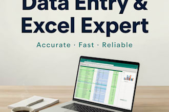 do expert data entry, excel data cleanup, and copy paste work