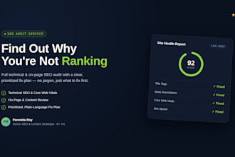 do SEO audit for website