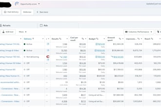 manage google ads or meta ads