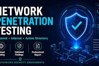 perform penetration testing, vapt and security assessment