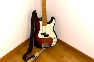 play bass guitar on your song