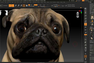 sculpt realistic 3d animal dog pet model in zbrush custom stl file for 3d print
