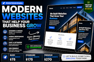build a professional website