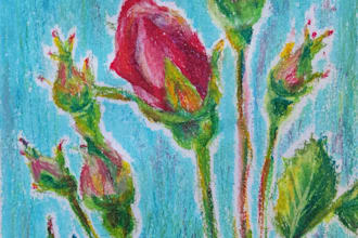 draw your favorite flowers