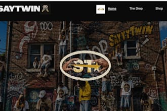 design or redesign a professional wix website for your brand