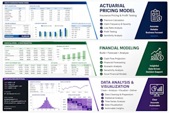 build actuarial, insurance and financial models